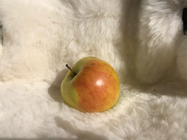 Lammfell-Sitzauflage für Kinderwagen creme - Image 11