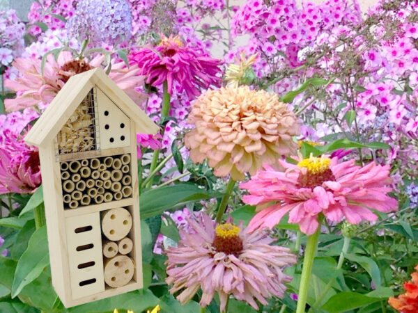 Hotel für Insekten - Image 3