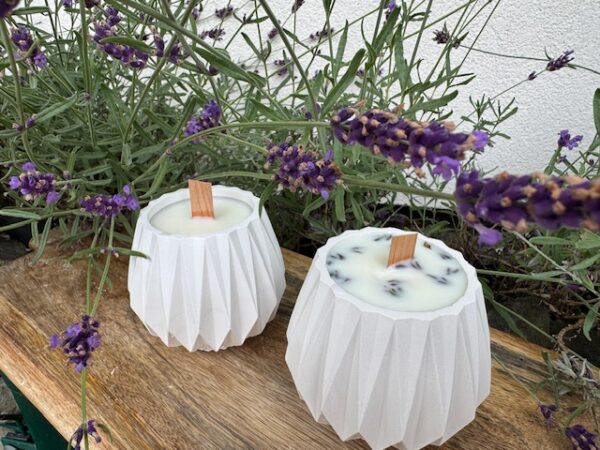 Grosser Lavendel in Gipsform