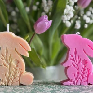 Hase stehend auf der Wiese