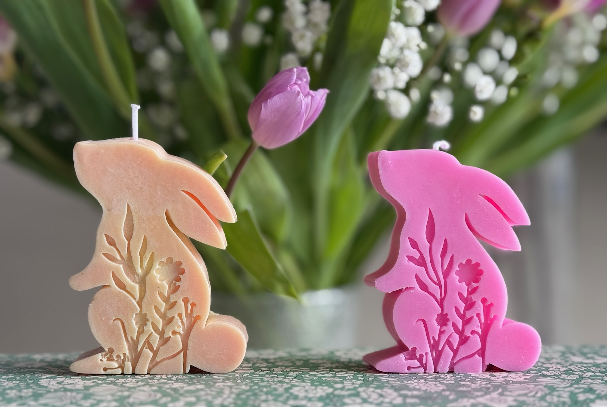 Hase stehend auf der Wiese
