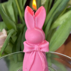 Osterhase mit Scheife