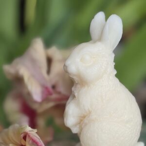Flauschiger Hase