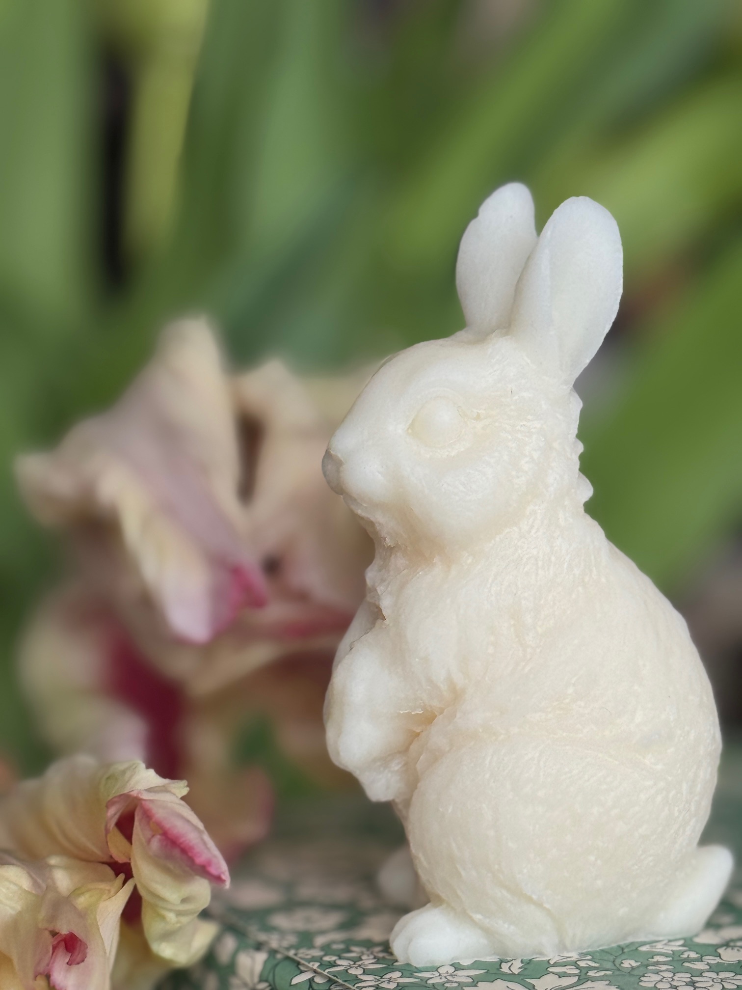 Flauschiger Hase