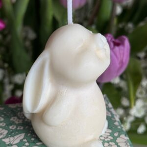 Kleiner Hase und Tupe