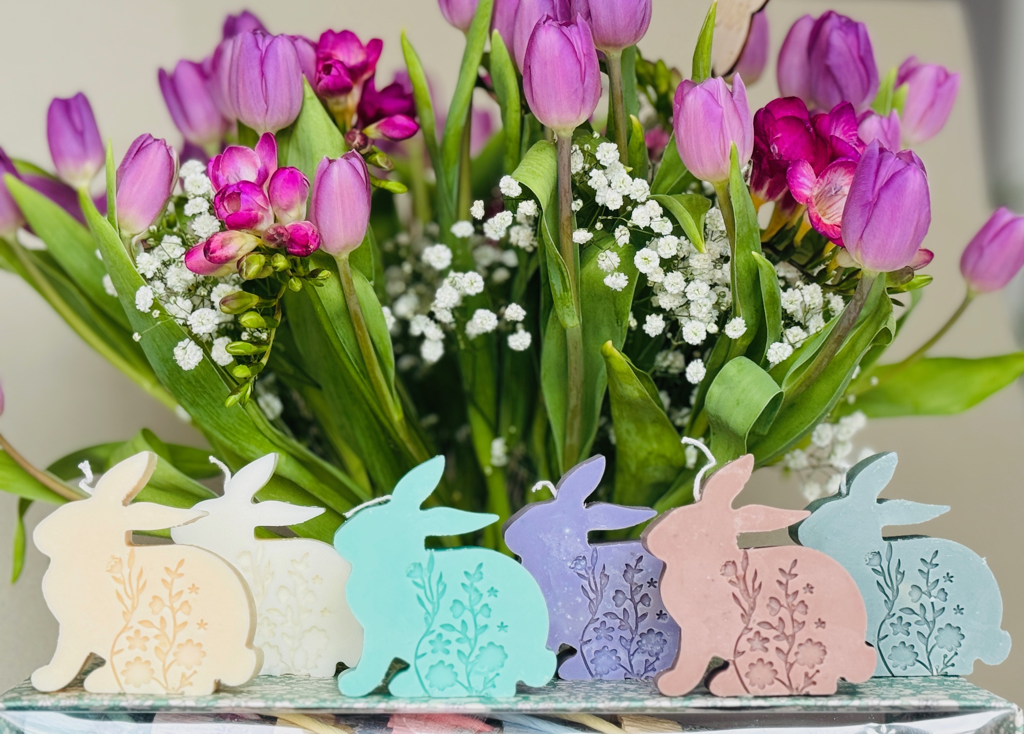 Hase auf der Wiese